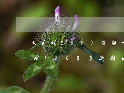 欠花呗2500逾期一年会起诉吗 欠花呗借呗5800多逾期快半年了没还会不会起诉2020
