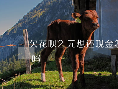 欠花呗2元想还现金怎么还(花呗可以还现金吗)