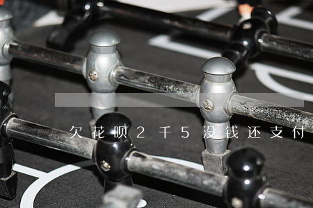欠花呗2千5没钱还(支付宝花呗差5千没还)