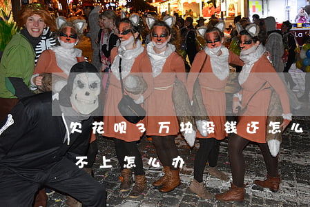 欠花呗3万块没钱还怎么办(花呗三千块钱还不上怎么办)