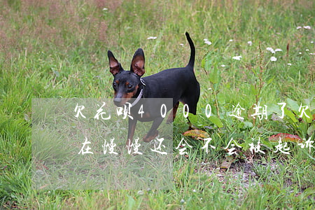 欠花呗4000逾期了(欠花呗1500逾期在慢慢还会不会被起诉)