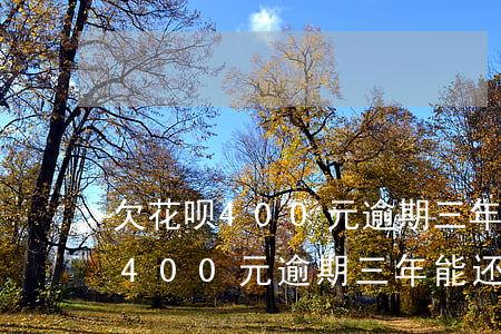 欠花呗400元逾期三年能还多少-欠花呗400元逾期三年能还多少钱