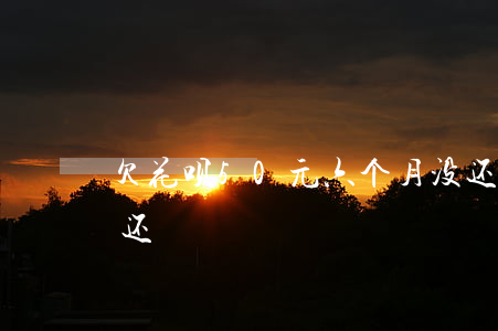 欠花呗50元六个月没还(花呗借了50元没还)
