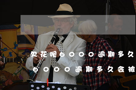 欠花呗6000逾期多久会被起诉-欠花呗6000逾期多久会被起诉呢