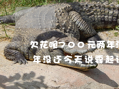 欠花呗700元两年没还(欠花呗8000两年没还今天说要起诉了)