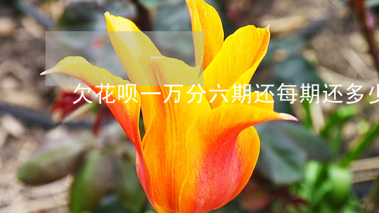 欠花呗一万分六期还每期还多少