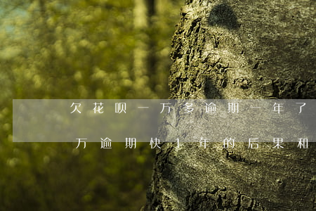 欠花呗一万多逾期一年了会怎么样-花呗1万逾期快1年的后果和罚息是多少