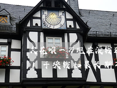 欠花呗一万现在没钱还了以后再还(花呗欠了1千块钱如果长期不还怎么样)