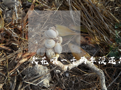 欠花呗一千两年没还(欠花呗一千两年没还)