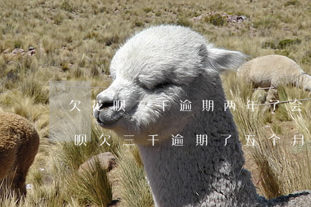 欠花呗三千逾期两年了会起诉吗-支付宝花呗欠三千逾期了五个月会起诉吗