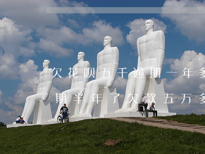 欠花呗五千逾期一年多要起诉我(借呗花呗逾期半年了,欠款五万多会起诉我吗)