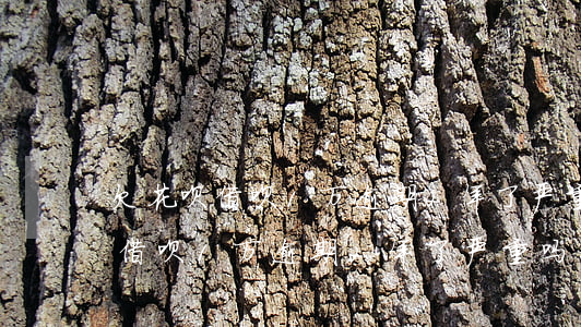 欠花呗借呗1万逾期2年了严重吗-欠花呗借呗1万逾期2年了严重吗怎么办