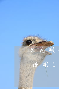 欠花呗借呗1万逾期半年了严重吗-欠花呗借呗1万逾期半年了严重吗怎么办