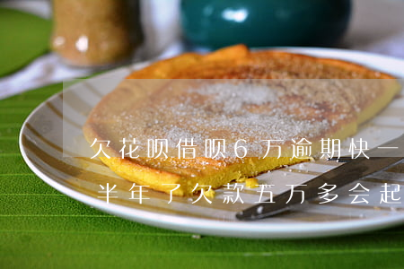 欠花呗借呗6万逾期快一年了(借呗花呗逾期半年了,欠款五万多会起诉我吗)