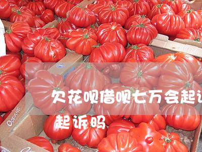 欠花呗借呗七万会起诉吗(借呗欠1万7会被起诉吗)
