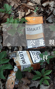 欠花呗借呗不还会怎样样(花呗借贷不还会怎么样)