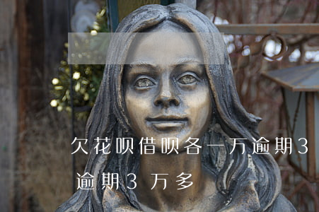 欠花呗借呗各一万逾期3年(支付宝借呗花呗逾期3万多)