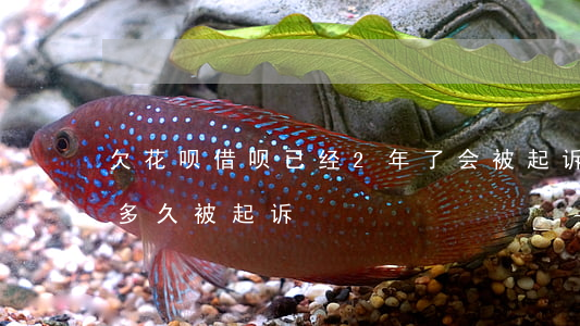 欠花呗借呗已经2年了会被起诉吗(借呗不还多久被起诉)