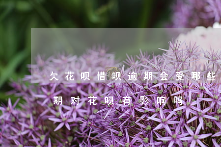 欠花呗借呗逾期会受哪些影响(支付宝借呗逾期对花呗有影响吗)