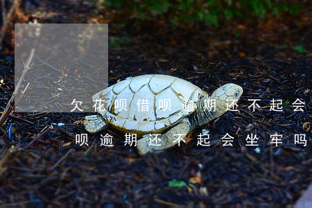 欠花呗借呗逾期还不起会坐牢吗-欠花呗借呗逾期还不起会坐牢吗知乎