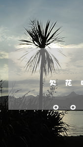 欠花呗八百逾期怎么办(花呗欠款五千逾期200天了,还不上后果)