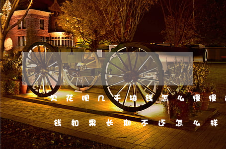 欠花呗几千块钱怎么慢慢还(花呗欠了几千块钱如果长期不还怎么样会停)