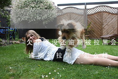 欠花呗没还逾期被拉黑会怎么样(欠花呗没还逾期被拉黑会怎么样)