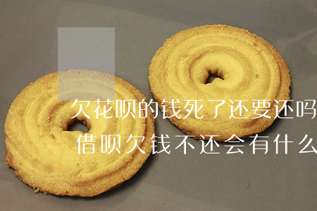 欠花呗的钱死了还要还吗(人死了支付宝花呗借呗欠钱不还会有什么后果)