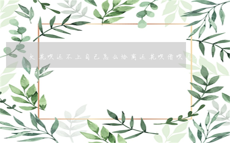 欠花呗还不上自己怎么协商还(花呗借呗还不出来如何协商)