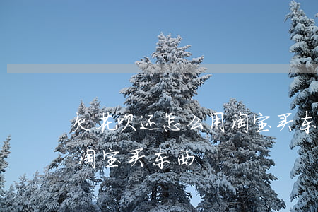 欠花呗还怎么用淘宝买东西(欠花呗还怎么用淘宝买东西)