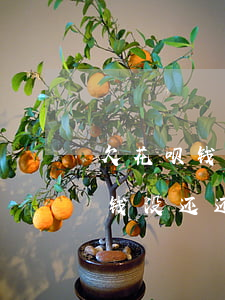 欠花呗钱没还还能办理京东白条吗-欠花呗钱没还还能办理京东白条吗安全吗