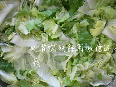 欠花呗钱能用微信还么(微信能不能还花呗的钱)