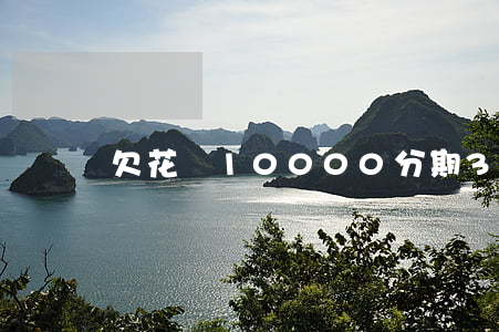 欠花唄10000分期3個(gè)月還