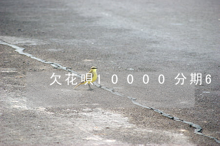 欠花唄10000分期6個月還