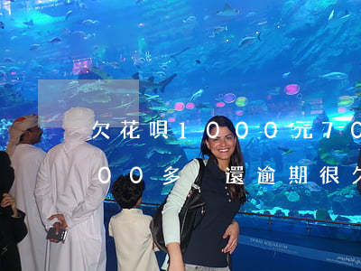 欠花唄1000元70多天沒還-花唄1000多沒還逾期很久了會怎么樣?