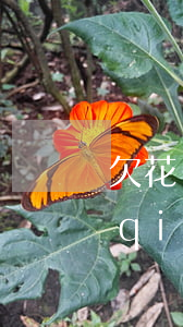 欠花唄10萬(wàn)沒(méi)錢(qián)還怎么辦(借唄10萬(wàn)還不上怎么辦)