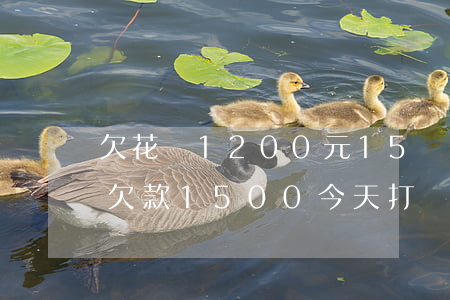 欠花唄1200元15號(hào)還(花唄欠款1500今天打電話告訴我起訴)