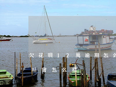 欠花唄12萬逾期怎么辦(欠了花唄十幾萬逾期會怎么樣)
