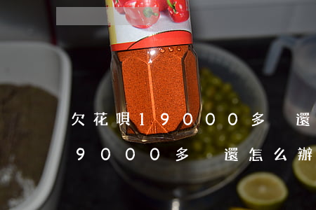 欠花唄19000多沒還怎么辦-欠花唄19000多沒還怎么辦啊
