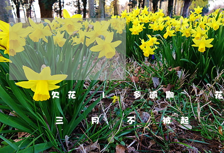 欠花唄1萬多逾期沒還(花唄欠款1萬多逾期三個月會不會被起訴)