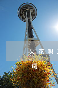 欠花唄2000多沒還(欠花唄2000多沒還)