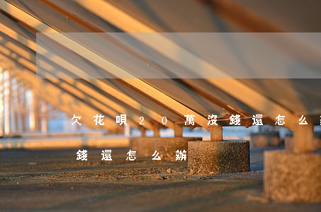 欠花唄20萬沒錢還怎么辦(欠花唄20萬沒錢還怎么辦)