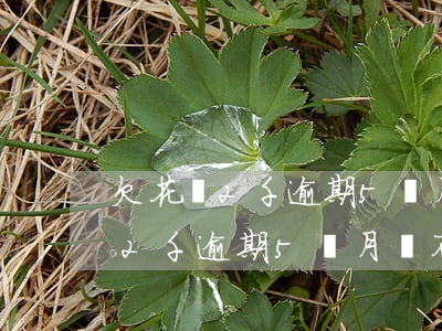 欠花唄2千逾期5個月會不會起訴-欠花唄2千逾期5個月會不會起訴對方