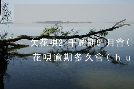 欠花唄2千逾期9月會(huì)被起訴嗎(花唄逾期多久會(huì)被起訴(支付寶八千花唄二年沒還了))