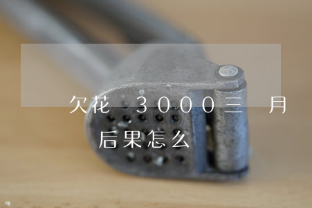 欠花唄3000三個月沒有還(花唄欠3千不還后果怎么樣)