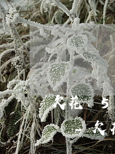 欠花唄5000逾期起訴會(huì)通知嗎-欠花唄5000逾期起訴會(huì)通知嗎知乎