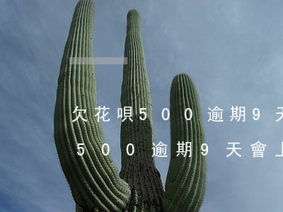 欠花唄500逾期9天會上征信嗎-欠花唄500逾期9天會上征信嗎怎么辦