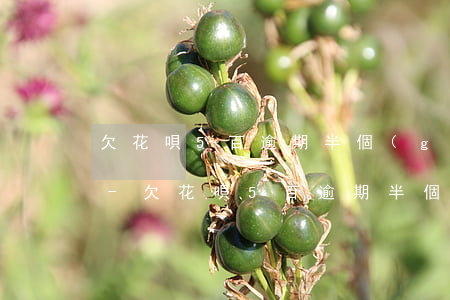 欠花唄5百逾期半個(gè)月利息是多少-欠花唄5百逾期半個(gè)月利息是多少錢(qián)