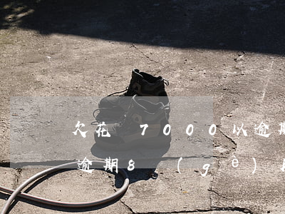 欠花唄7000以逾期(欠花唄7000多元逾期8個(gè)月還會(huì)坐牢嗎)