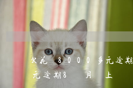 欠花唄8000多元逾期(欠花唄8000多元逾期8個月會上門嗎?)